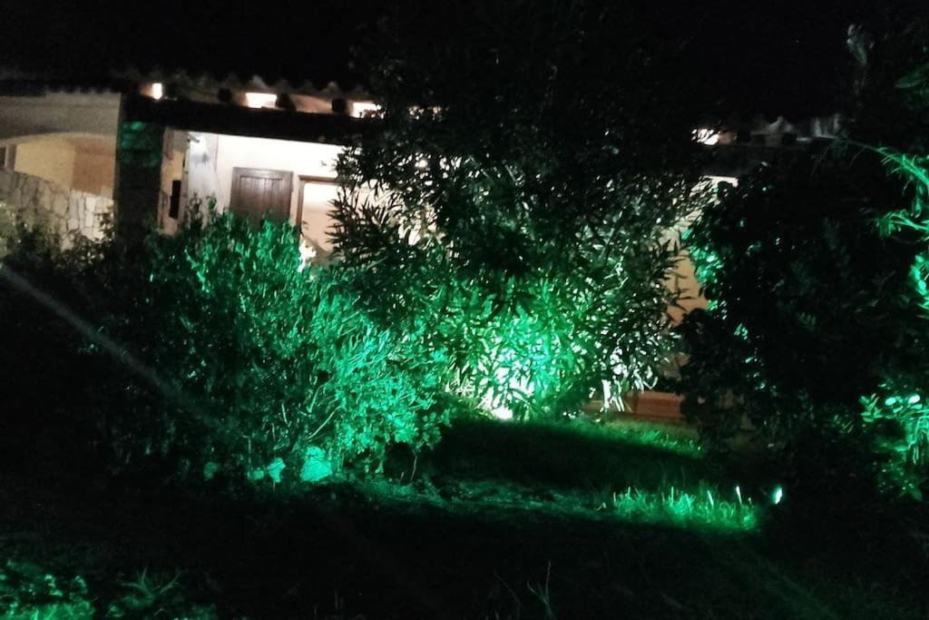Villetta Reparata Santa Teresa Gallura Exterior photo